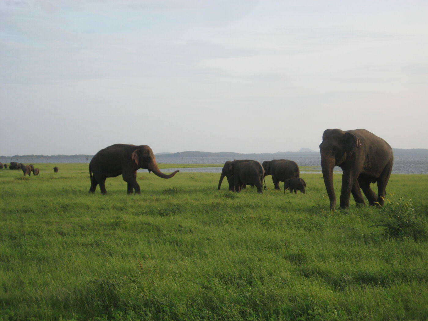 Travelers sharing a meal together on a WanderMe group trip